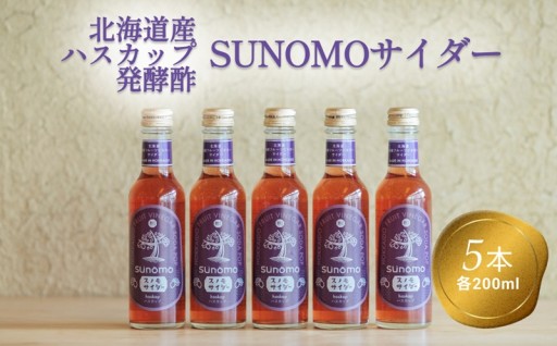 北海道産ハスカップ発酵酢サイダー200ml×5本