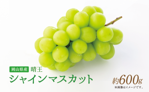 【岡山県産】晴王 シャインマスカット 約600g 1房 【2026年9月上旬～2026年11月下旬発送予定】