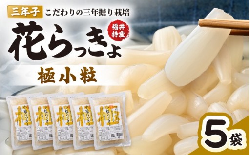 【化学調味料不使用】全国で唯一の栽培法「三年子花らっきょ」🧄✨
