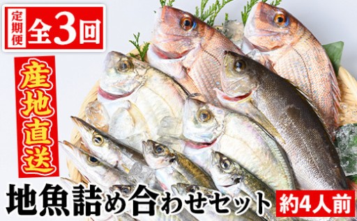【3回定期便】魚屋さんの選んだ新鮮お魚詰め合わせ(約4人分)
