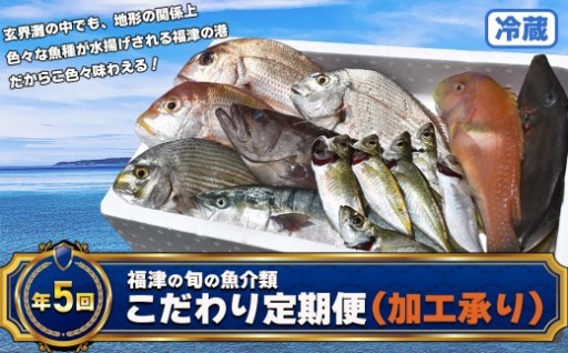 【年5回】福津の旬の魚介類こだわり定期便