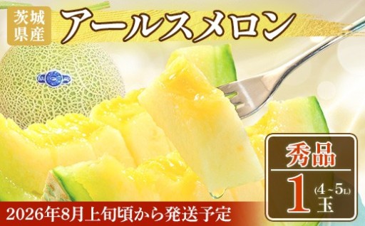 【ご褒美極上メロン‥♡】アールスメロン秀品1玉（4L～5L）