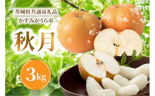 【8月31日まで！】秋の味覚🍂矢口果樹園の採れたて梨（秋月）