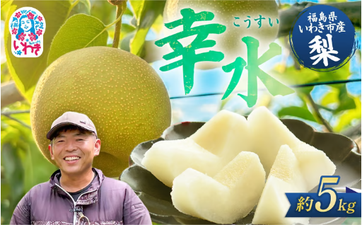 旬の梨を、福島県いわき市からお届け
