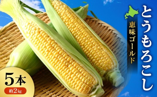 【北海道札幌市】とうもろこし（恵味ゴールド） 5本（約2kg）🌽🟡
