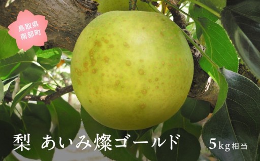 太陽が育む濃厚な味わい「あいみ燦ゴールド」です！