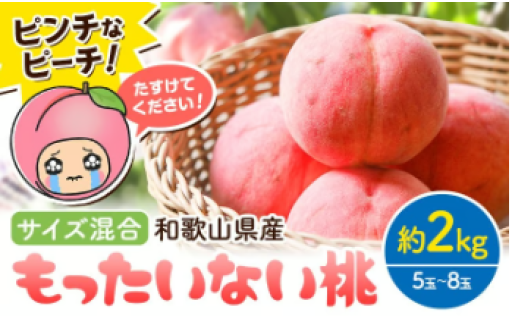 ピンチなピーチ! もったいないのご支援を！