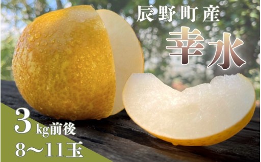 227 先行予約 梨 幸水 【野澤フルーツ農園】