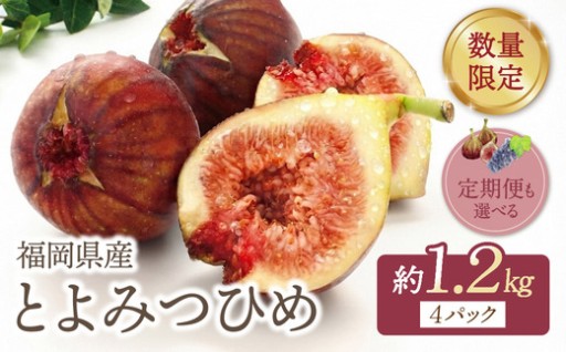 福岡ブランド「とよみつひめ」完熟いちじくを産地直送🍐