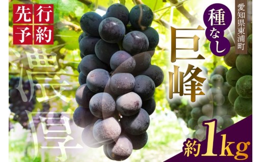 【先行予約】🚚2026年8月発送🚚東浦町産 種なし巨峰🍇（約1kg）