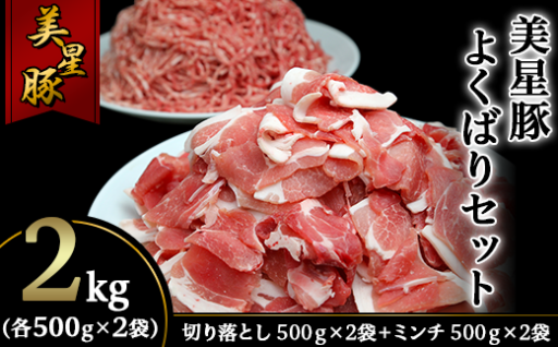 【毎日の献立に大活躍！】美星豚よくばりセット（2kg）