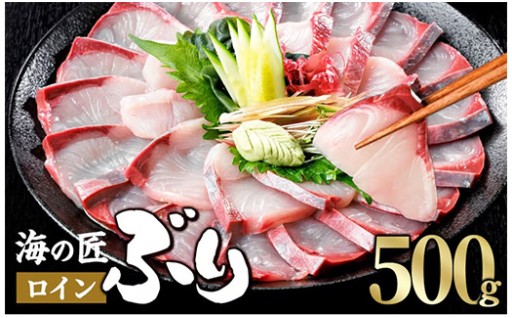 ＜先行予約受付中！発送月が選べる！＞海の匠 ブリ スキンレスロイン (500g) 