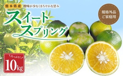【令和8年度熊本地震復興支援】【規格外品】スイートスプリング ご家庭用 10kg