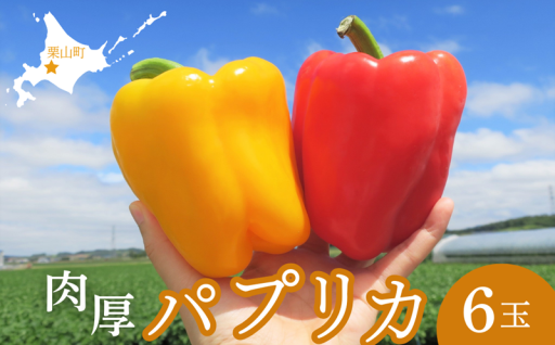 肉厚ジューシー！夏の匠のパプリカ🫑