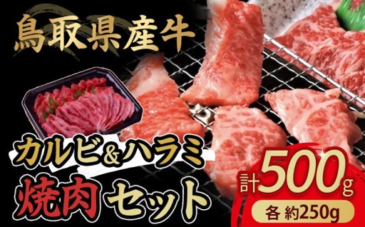 鳥取県産牛 カルビ&ハラミ焼肉セット 国産 牛肉 焼肉 カルビ ハラミ セット 