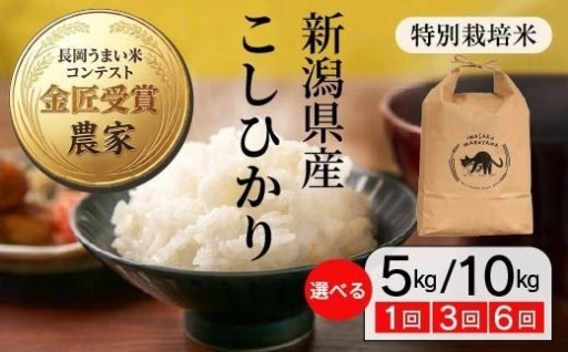 令和8年産新米♪数量限定！安全・安心の特別栽培米♪新潟県産コシヒカリ♪