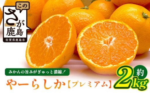 【先行予約】【発送は2026年10月中旬から11月上旬ごろ】やーらしかみかん”プレミアム”約2kg（箱込み重量）