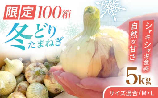 種から育てるこだわり！冬どりたまねぎ5kg