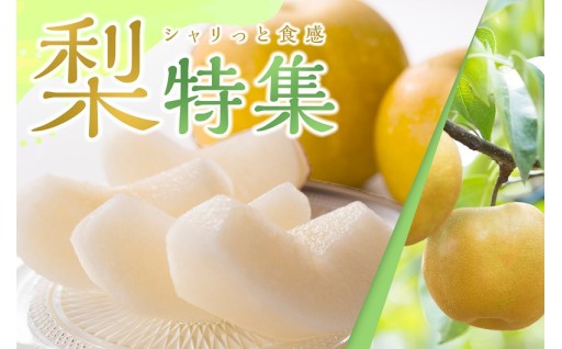 【鳥取県三朝町】梨特集