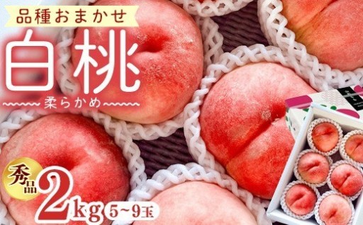 🍑おいしい桃をひとかじり！🍑