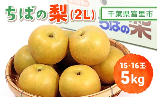 【2026年発送先行予約】【数量・期間限定】旬をお届け！富里市産 梨２L　掲載開始！