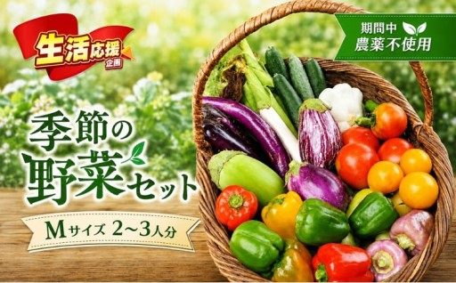 【栽培期間中農薬不使用・無化学肥料・無家畜性肥料で育てた】 季節の 野菜セット ( Mサイズ )