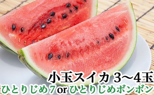 【食べ切りやすい、夏の味🎐】小玉スイカ（1.3～1.8kg）×3～4玉