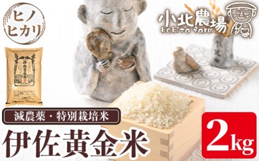《数量限定》令和7年産 小北農場のお米 伊佐黄金米〈ヒノヒカリ〉(2kg)