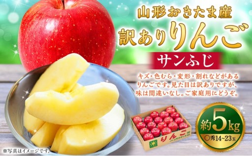 【訳あり】 山形おきたま産 りんご （サンふじ）（〇秀） 14玉～23玉（約5kg）