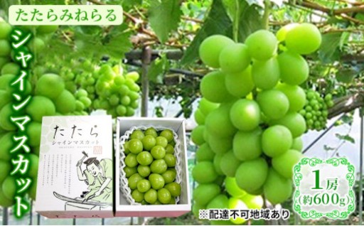 岡山県産 たたらみねらる シャインマスカット 1房(約600g)