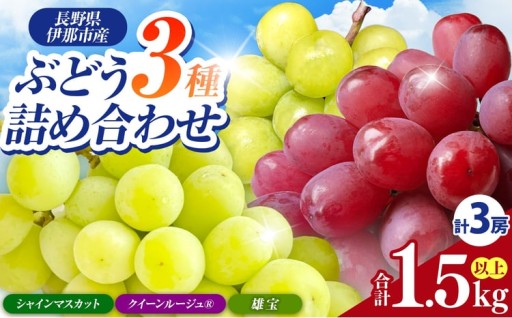 信州伊那産ぶどう３種食べ比べセット