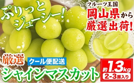 種なし皮ごと！厳選シャインマスカット 1.3kg