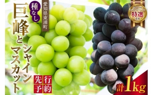 【先行予約】🚚2026年8月発送🚚東浦町産 種なし巨峰とシャインマスカット(約1kg)🍇