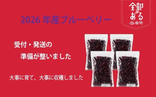 【2026年産受付開始】一粒一粒に自然の恵みをぎゅっと。当麻町産ブルーベリー、発送準備が整いました。