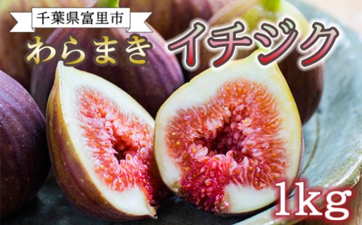 【先行予約】【期間限定！！】ふるやファーム自慢の絶品「わらまきイチジク 1kg」今年度受付開始！！