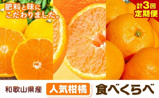 人気柑橘をリレーでお届け🍊人気柑橘食べくらべ定期便 全3回