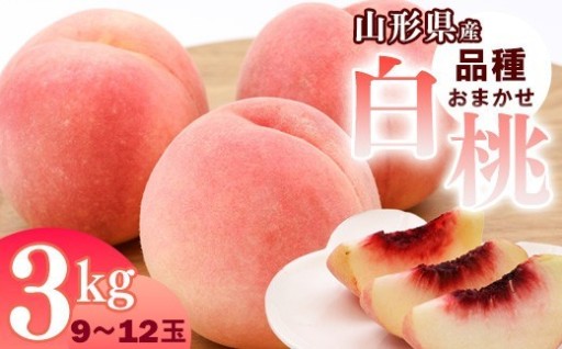 🍑やまがたの風土が育んだ白桃🍑