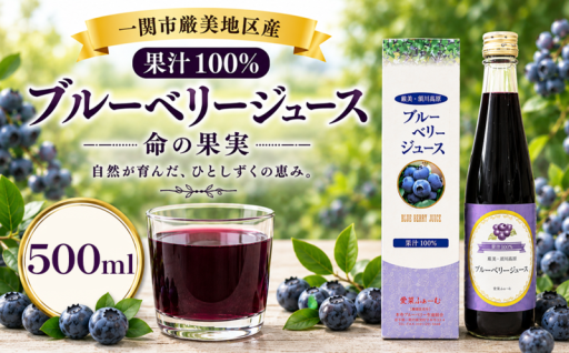 命の果実 ブルーベリー100%ジュース 500ml×5本