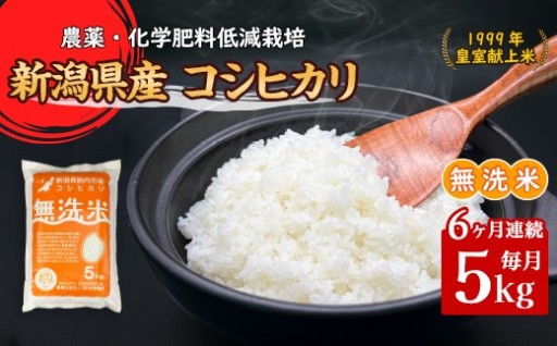 【新米予約🌾】新潟県胎内市産無洗米コシヒカリ5kg（6ヶ月連続お届け）