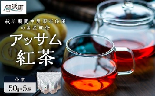 【7営業日内に発送します🚚💨💨】国産アッサム紅茶（茶葉）🫖産アッサム紅茶（茶葉）