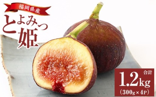≪先行予約受付中！2026年8月上旬順次発送予定≫福岡県産 とよみつ姫(計1.2kg・300g×4P)