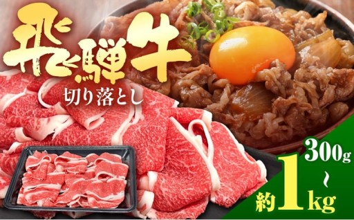 飛騨牛 切り落とし 【 選べる容量 】