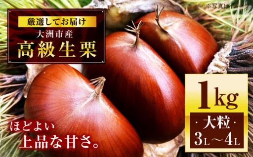 【先行予約】厳選 高級 生栗（ 1kg ）