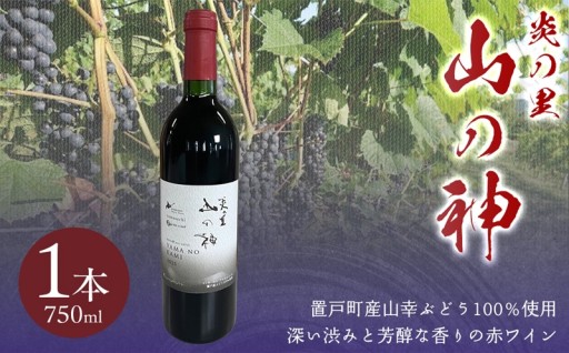 置戸町産のぶどうを100％使用したワインです！