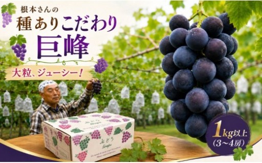 🍇追加受付開始🍇根本さんのこだわり種あり巨峰✨