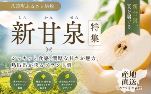 申込締切間近！「新甘泉、夏を届ける」特集