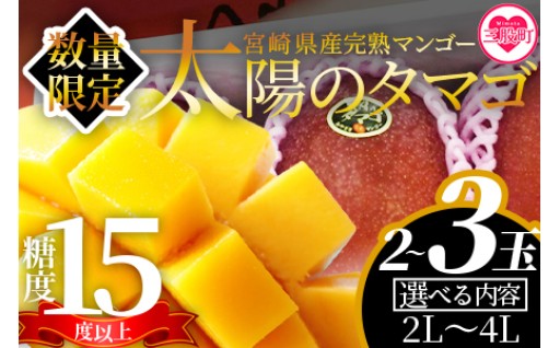 🥭＼ 2027年産マンゴー、先行予約スタート！ ／🥭