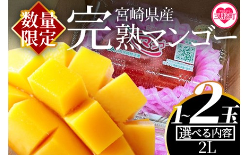 🥭＼ 2027年産マンゴー、先行予約スタート！ ／🥭