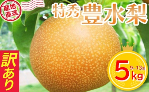【ご家庭用】訳あり 豊水梨 5kg箱詰め