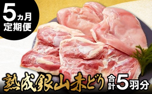 完全無薬と熟成の極み！銀山赤どり精肉5回定期便🐓